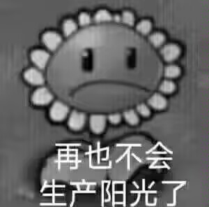 国 产 猎 奇 儿 童 动 画